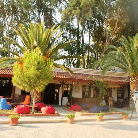 Medusa Camping باتارا المظهر الخارجي الصورة
