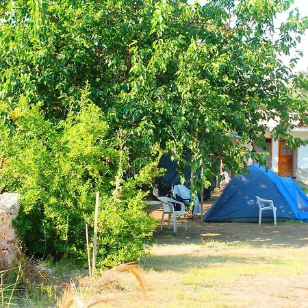 Medusa Camping باتارا المظهر الخارجي الصورة