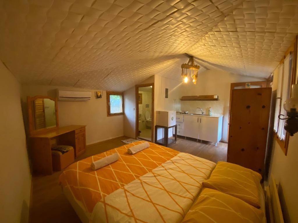 Medusa Camping باتارا المظهر الخارجي الصورة